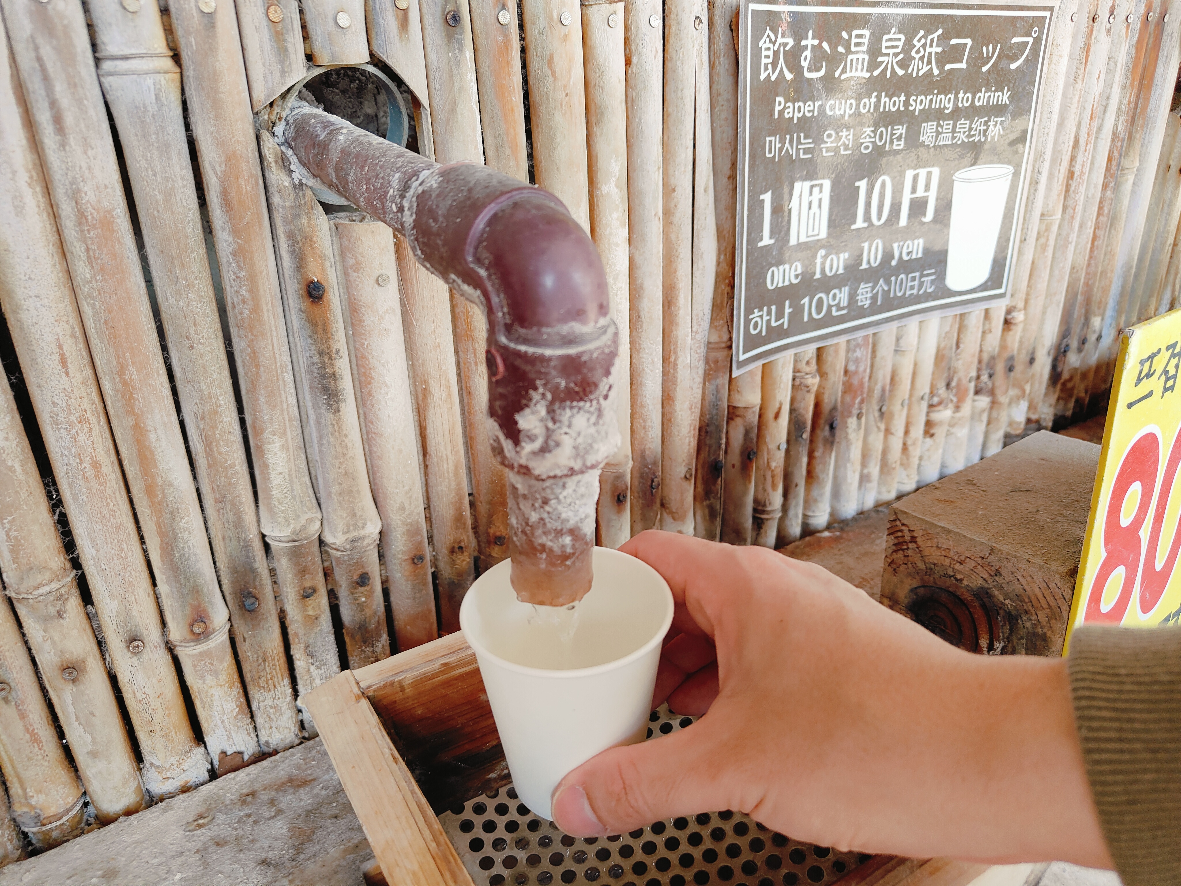 (日本大分旅遊)別府地獄巡禮，海地獄+鬼山地獄+灶地獄+鬼石