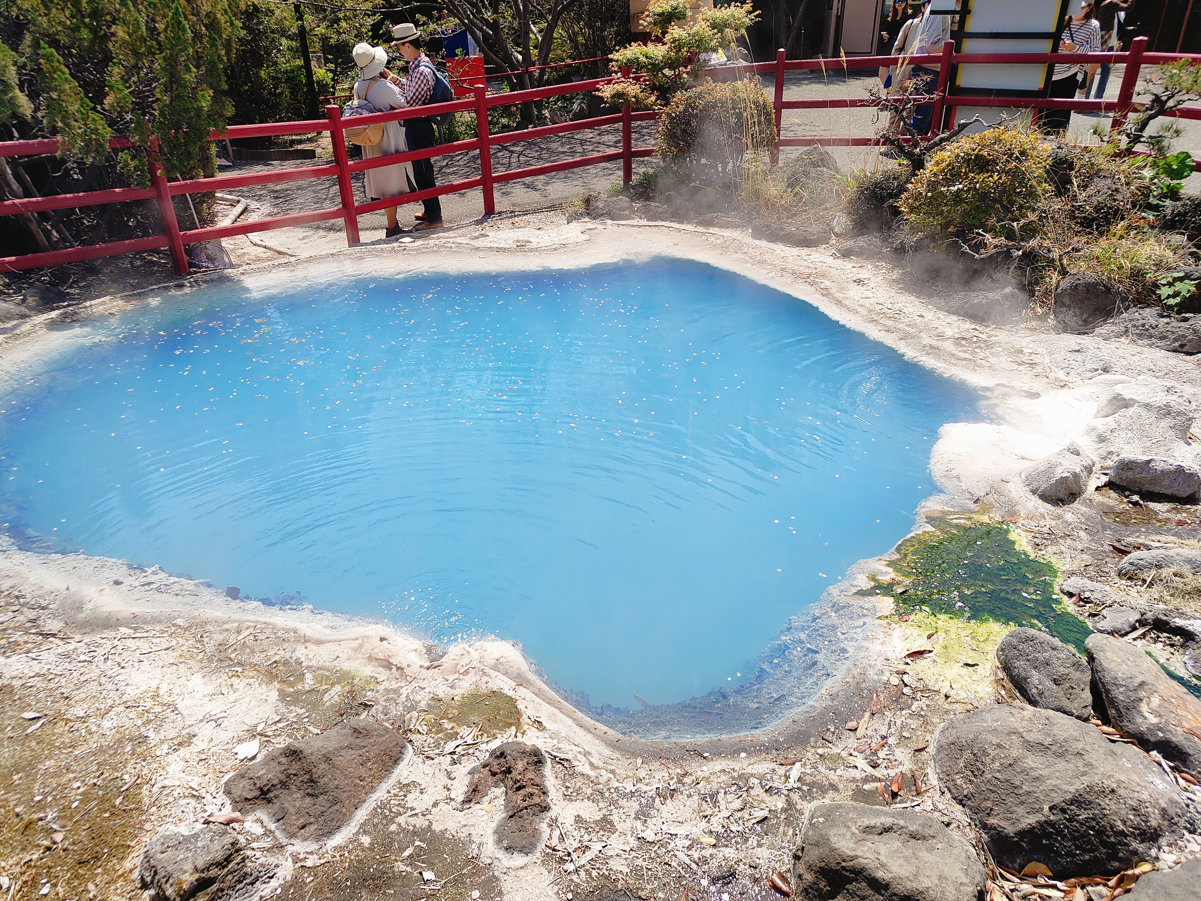 (日本大分旅遊)別府地獄巡禮，海地獄+鬼山地獄+灶地獄+鬼石