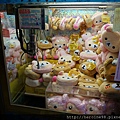 DSC04139.JPG