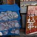DSC09320.JPG