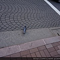 DSC09321.JPG