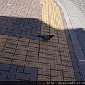 DSC09322.JPG