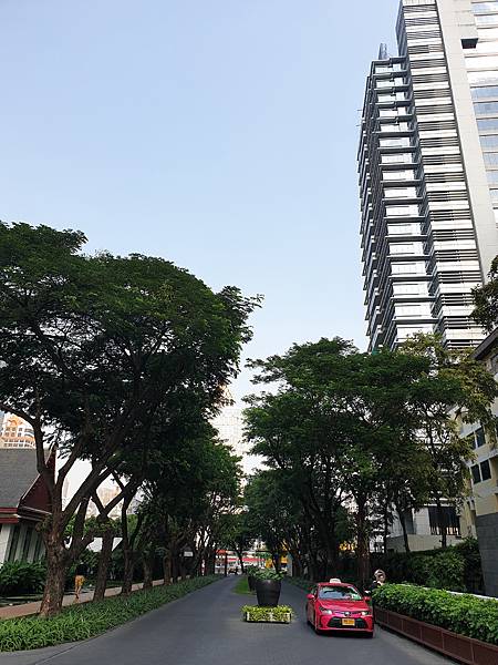 20200129_102303.jpg 20200129_102303.jpg