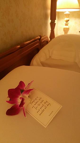 20180823_212955.jpg 20180823_212955.jpg