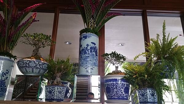 20180823_132746.jpg 20180823_132746.jpg