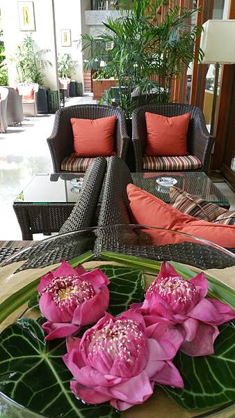 20180823_135553.jpg 20180823_135553.jpg