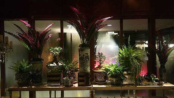 20180823_211656.jpg 20180823_211656.jpg