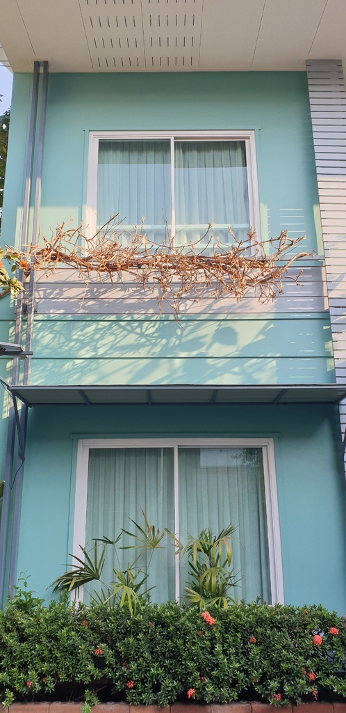 20230120_084322.jpg 20230120_084322.jpg