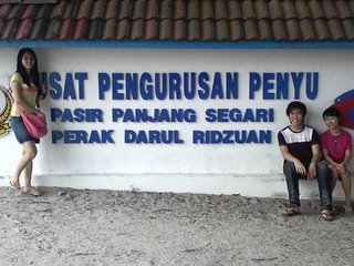 21.JPG 21.JPG