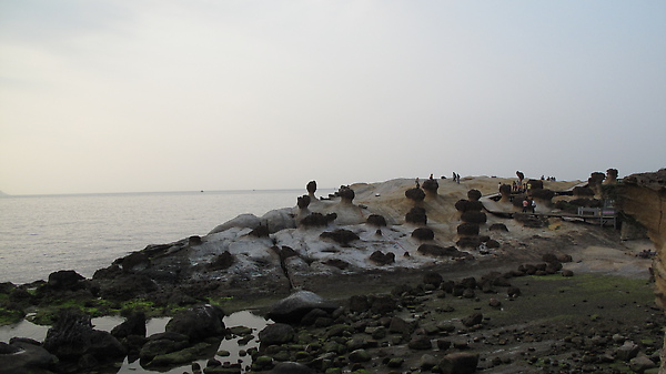 0980515 野柳風景區  一日遊 (187).JPG