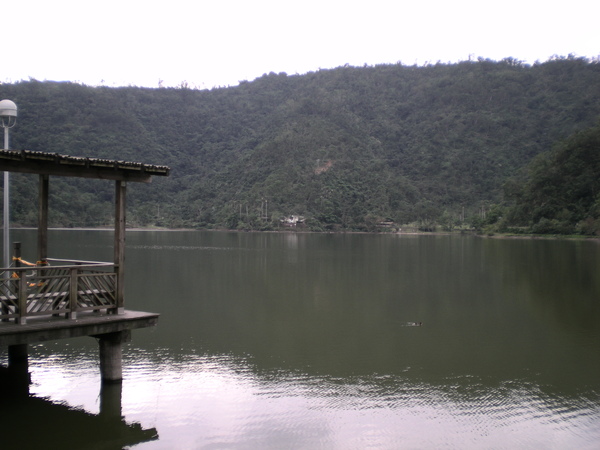 梅花湖景