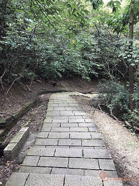 新山夢湖2.jpg 新山夢湖2.jpg