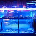 台北吉道水產6.jpg
