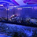 台北吉道水產7.jpg