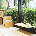台中貓咪咖啡館37.jpg