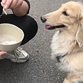 倍力藻活力9.jpg