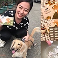 倍力藻活力.jpg