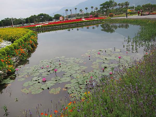 IMG_4150 IMG_4150