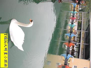 海芬訪王力宏 海芬訪王力宏