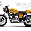 thruxton_900_yellow_lhs_1024.jpg