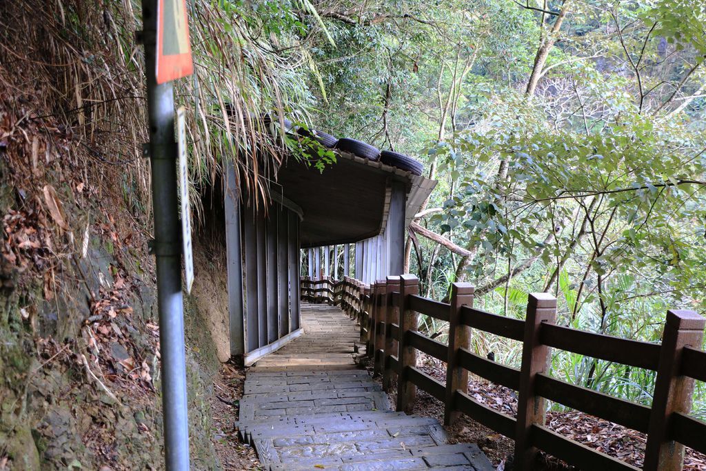 竹山梯子吊橋（天梯）