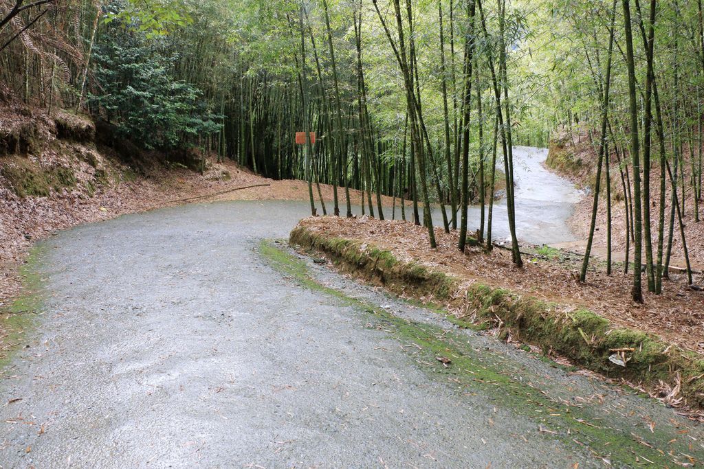 竹山梯子吊橋（天梯）