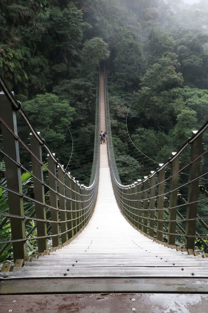 竹山梯子吊橋（天梯）