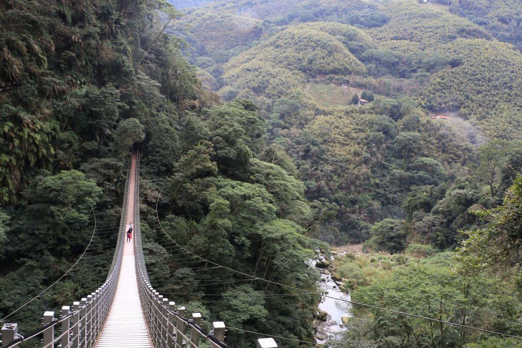 竹山梯子吊橋（天梯）