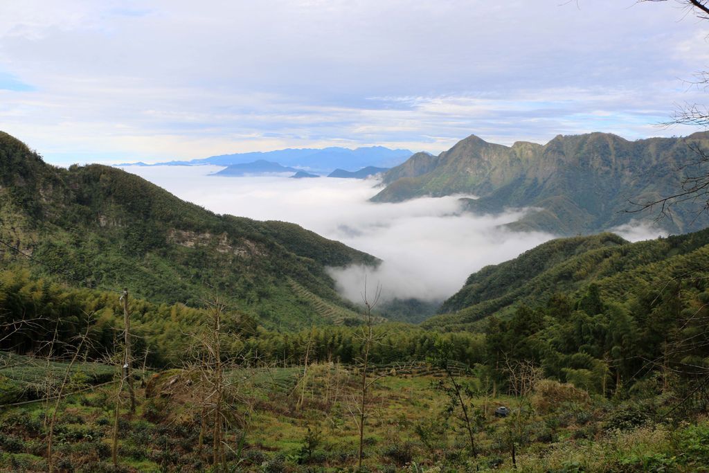 竹山