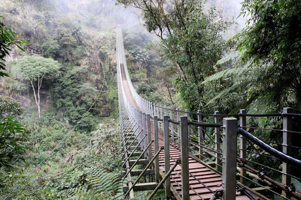 竹山梯子吊橋（天梯）