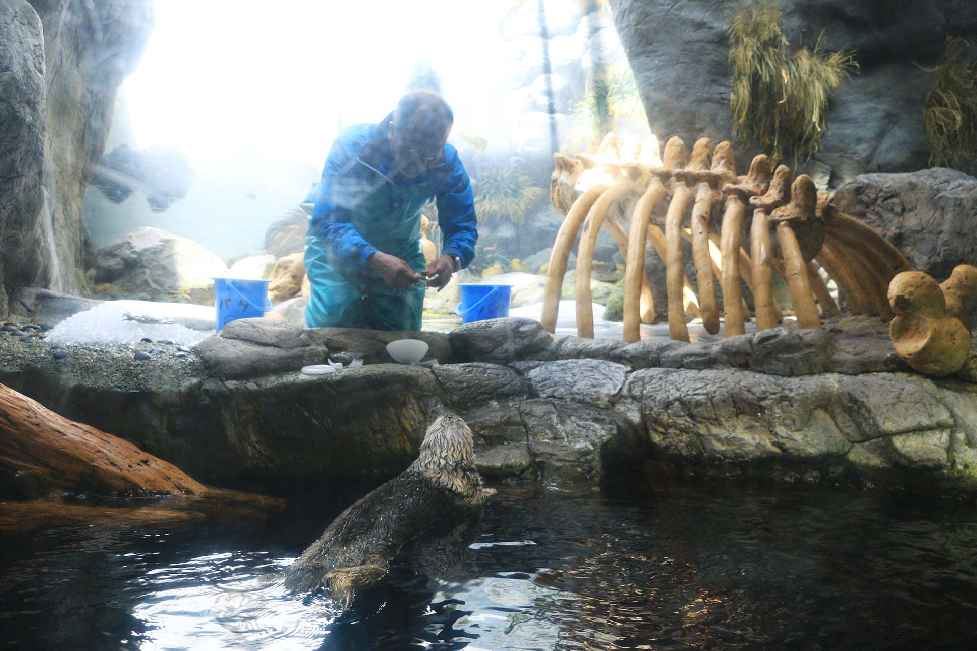 海遊館