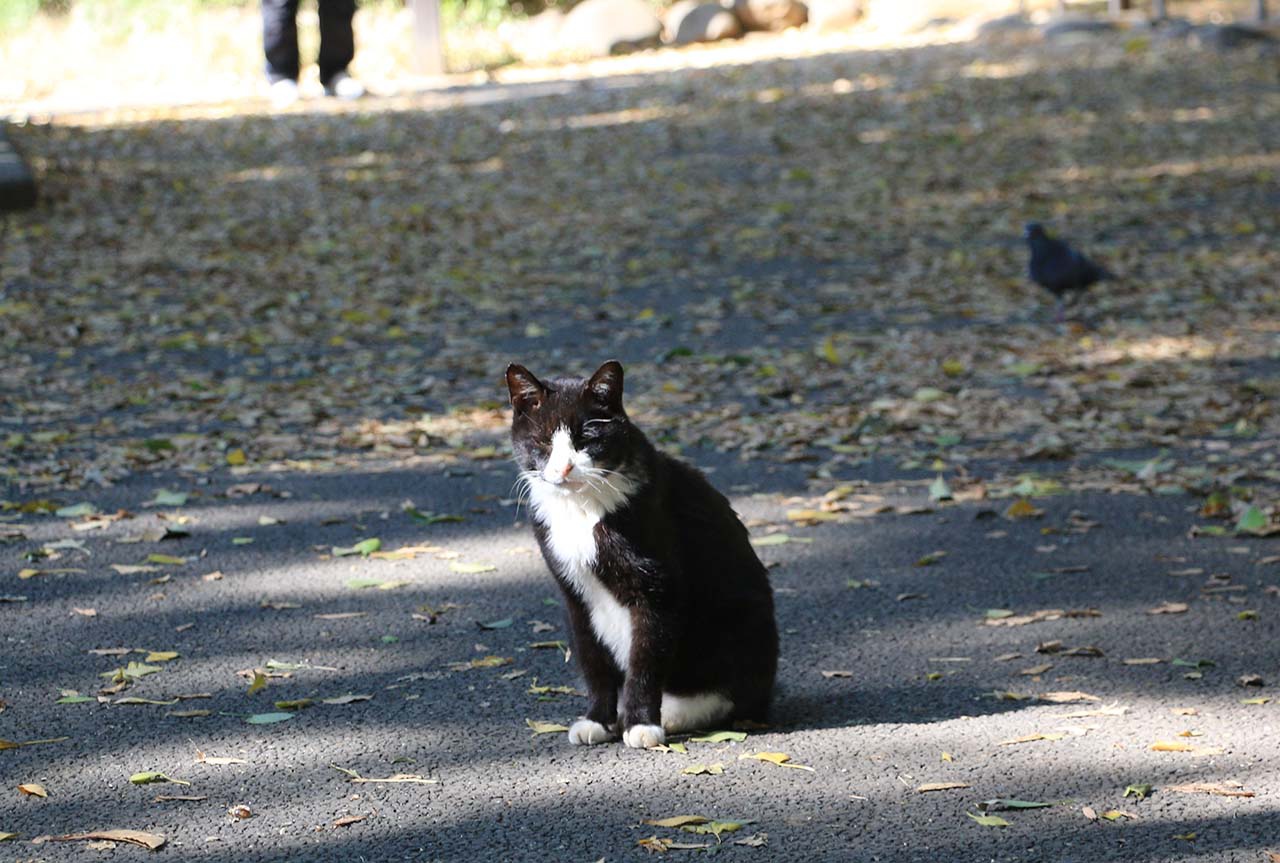 上野公園