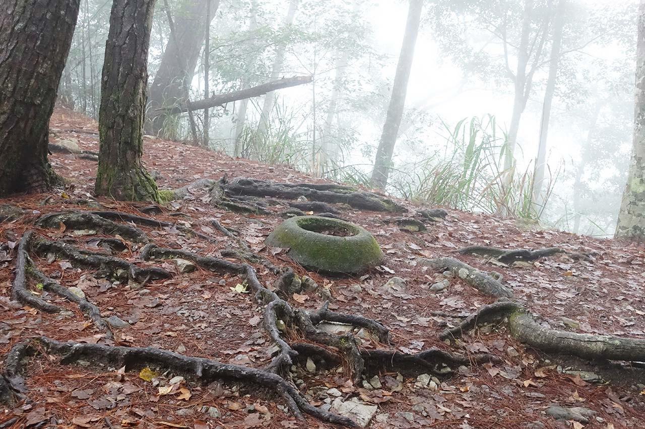 八仙山國家森林遊樂區