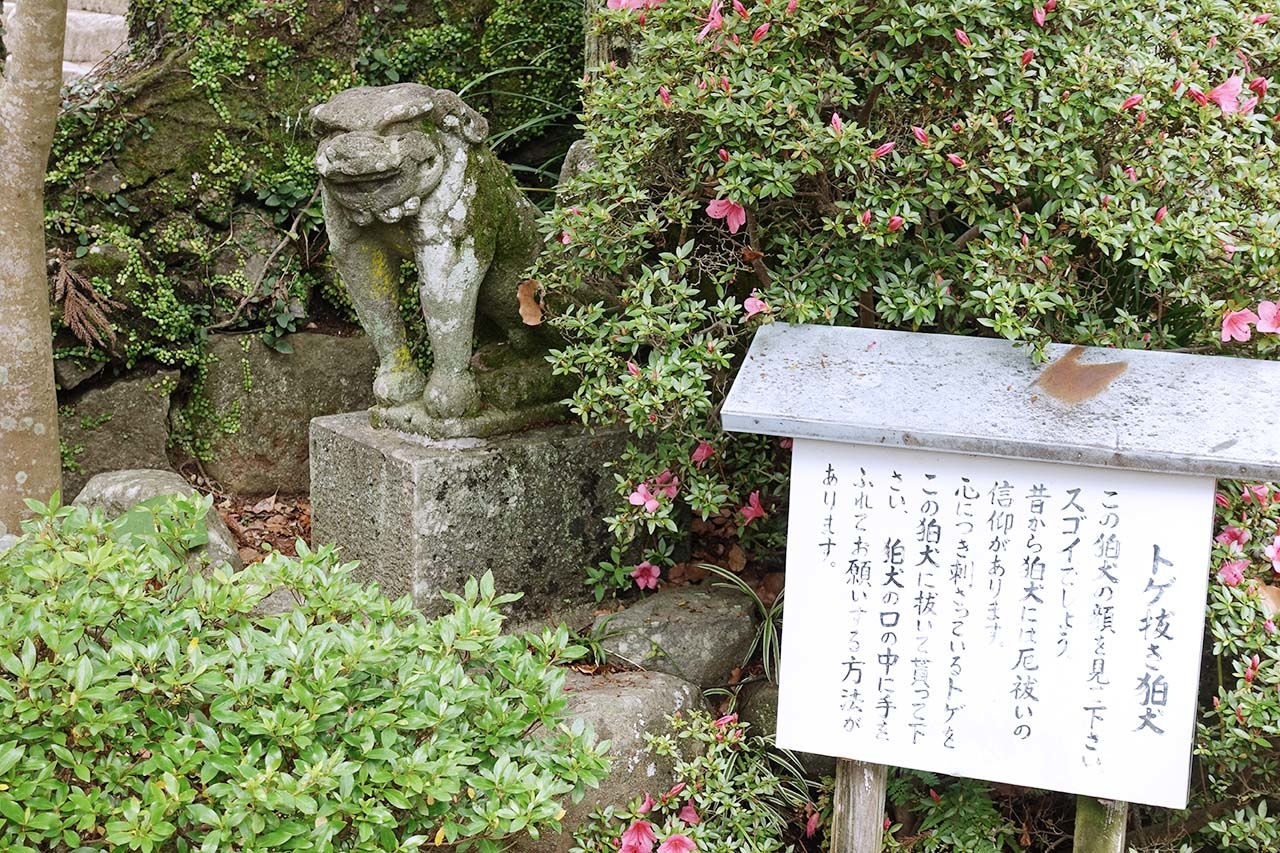 諏訪神社