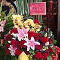 DSC00742_resize.jpg