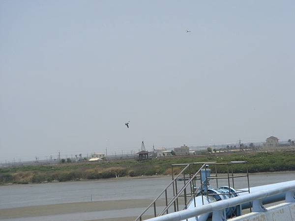 DSC08153_resize.JPG