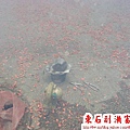 DSC07217_調整大小.jpg