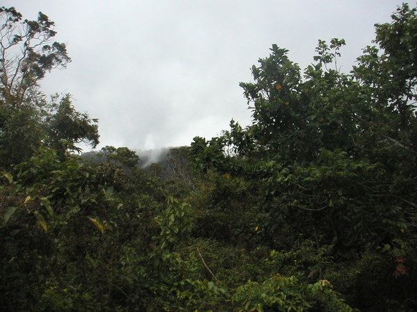 恆春半島上唯一有山嵐籠罩的蚊罩山.JPG