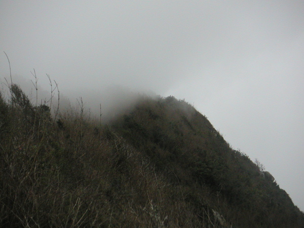 雲霧覆蓋住山頭.JPG