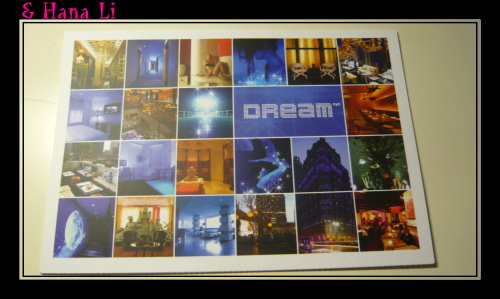 20081113 Dream Hotel