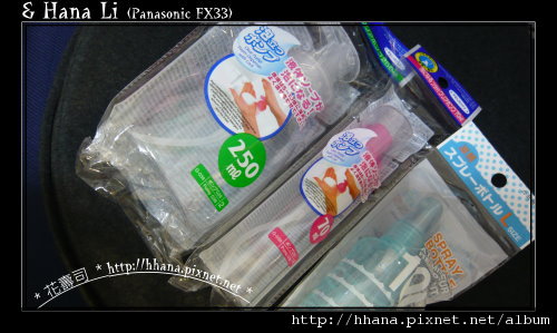 20100108 DAISO