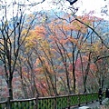 20091226(030).jpg