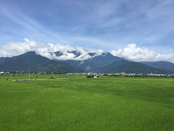 池上水稻田一景 池上水稻田一景
