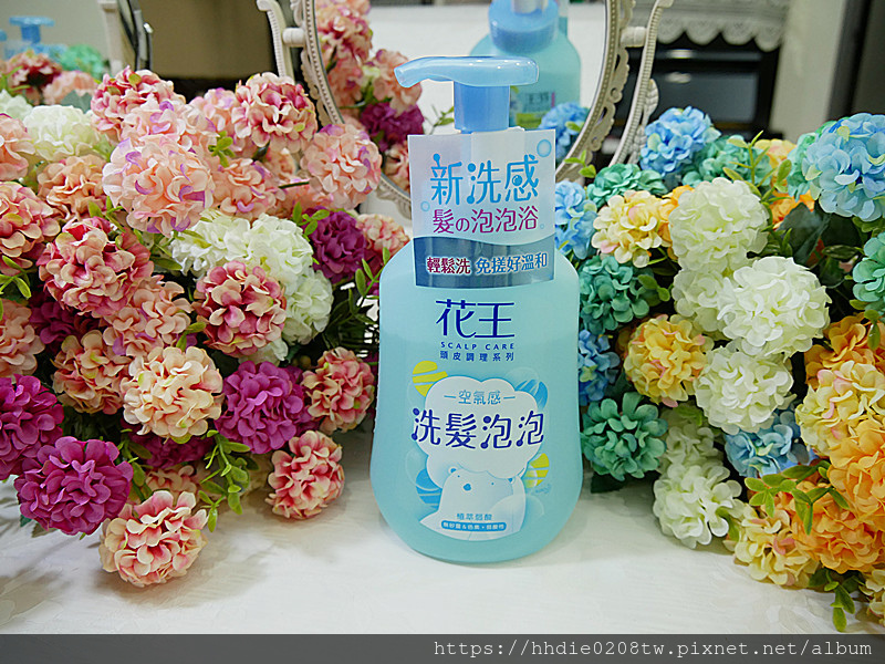 花王洗潤髮泡泡 (10).jpg