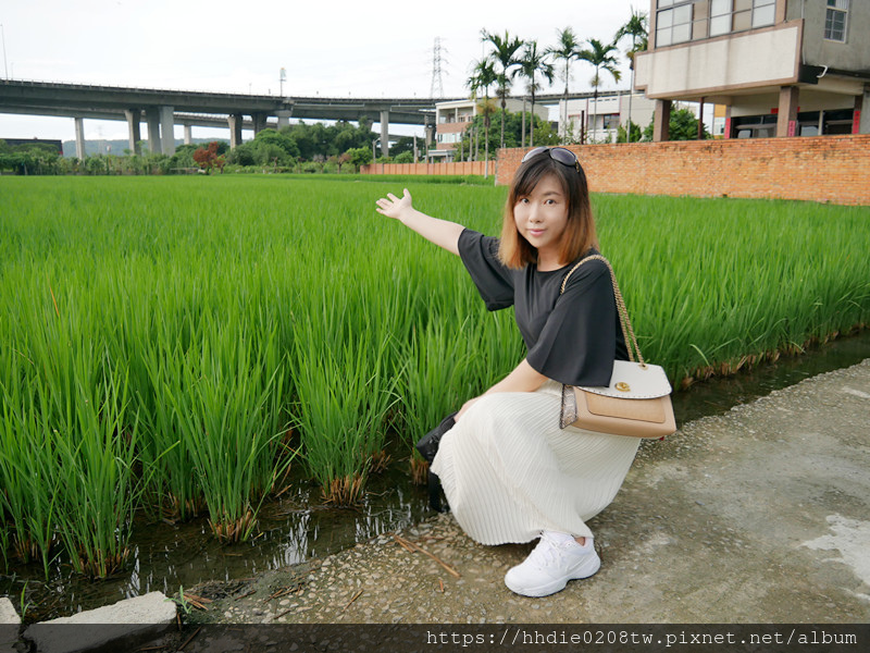 LazyBlue懶青子肽水潤玻尿酸固體飲 (34).jpg