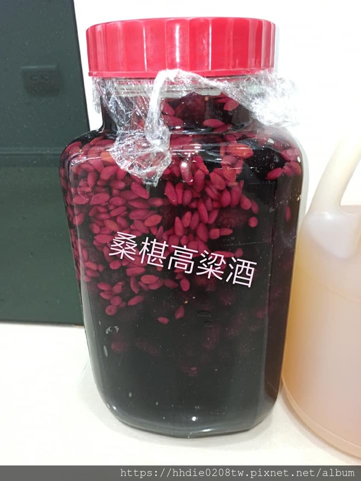 桑椹酒.jpg