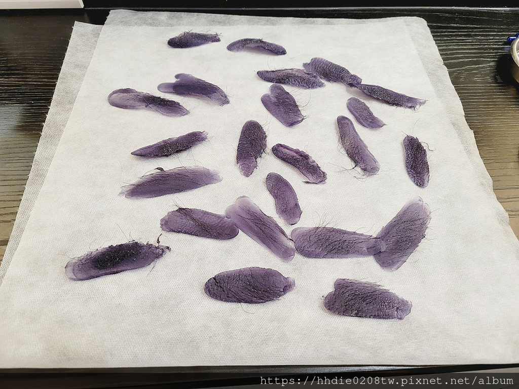 台北私密除毛推荐 (8).jpg