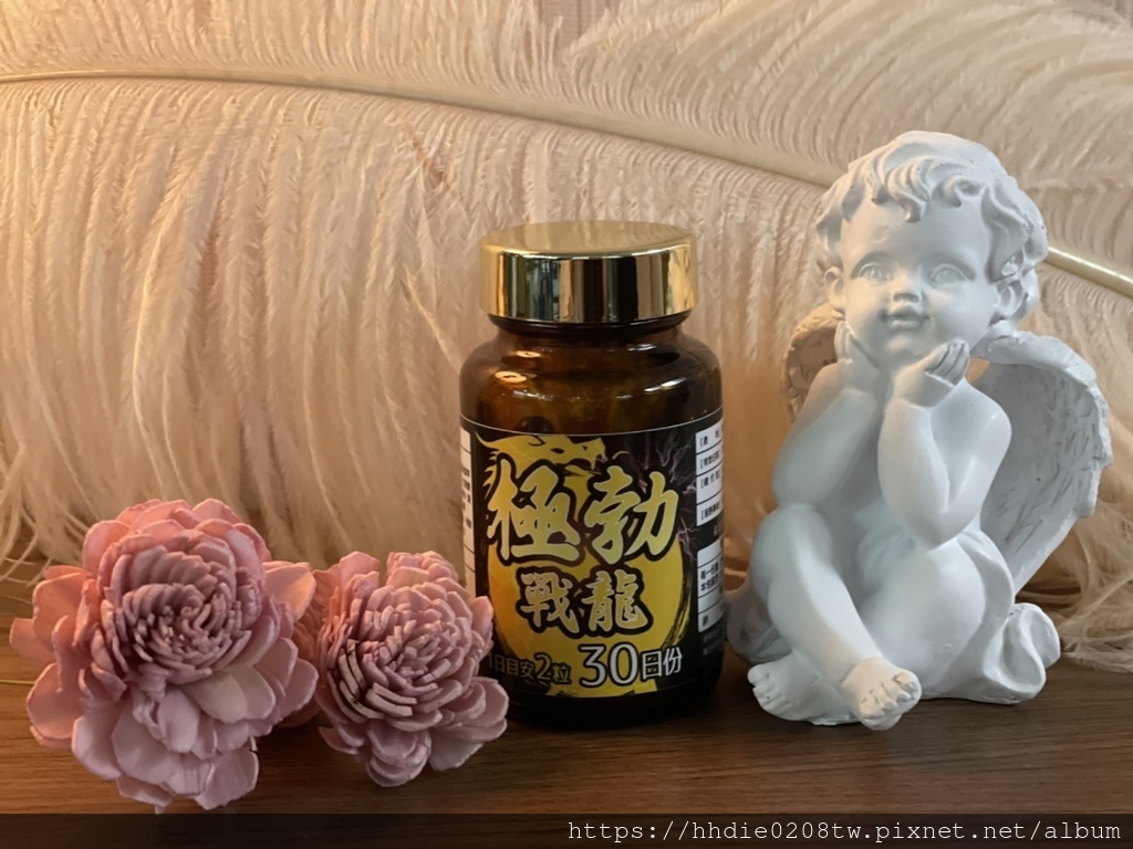 重振雄风的秘密武器推荐北条博士-极勃战龙 (4).JPG