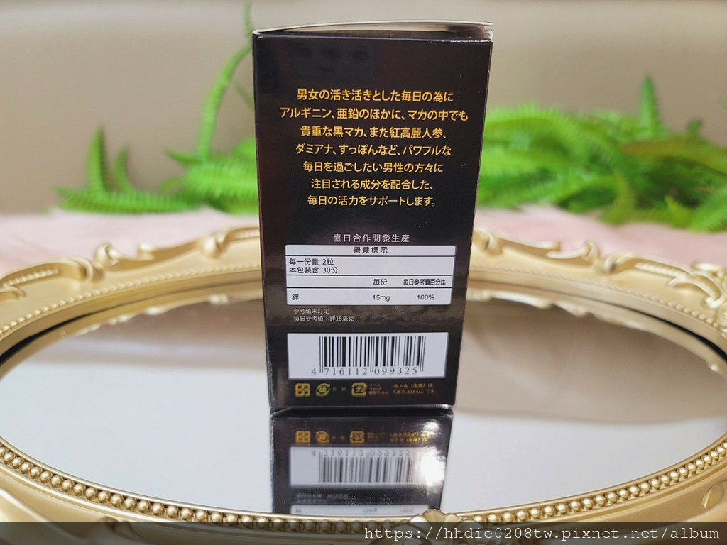 极勃战龙 (10).jpg