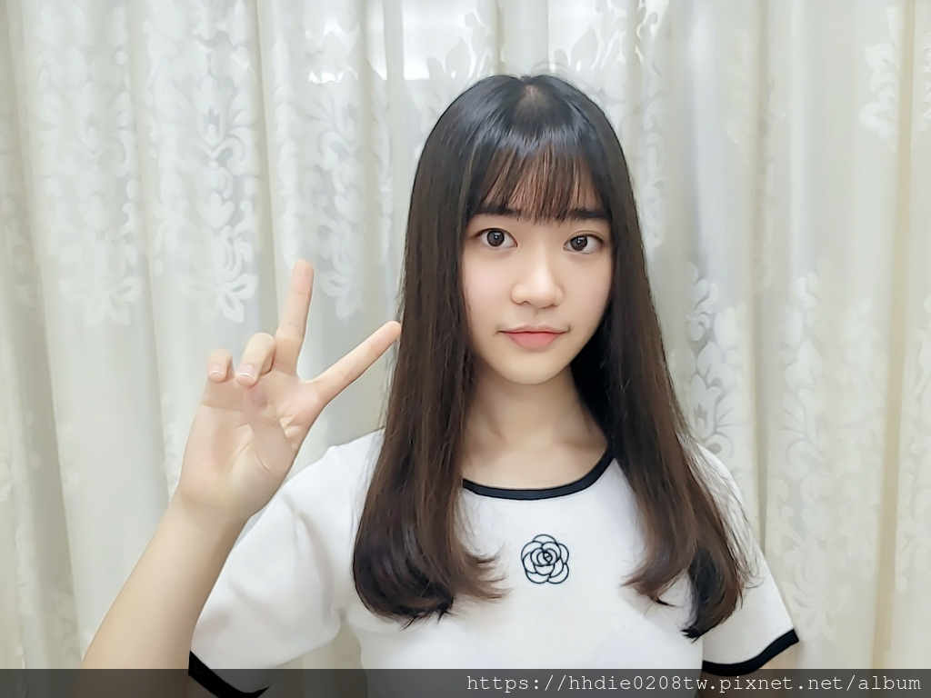 山水正負離子吹風機 (25).jpg 山水正負離子吹風機